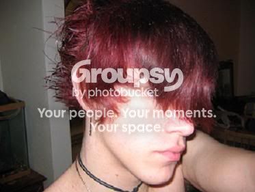 User Image